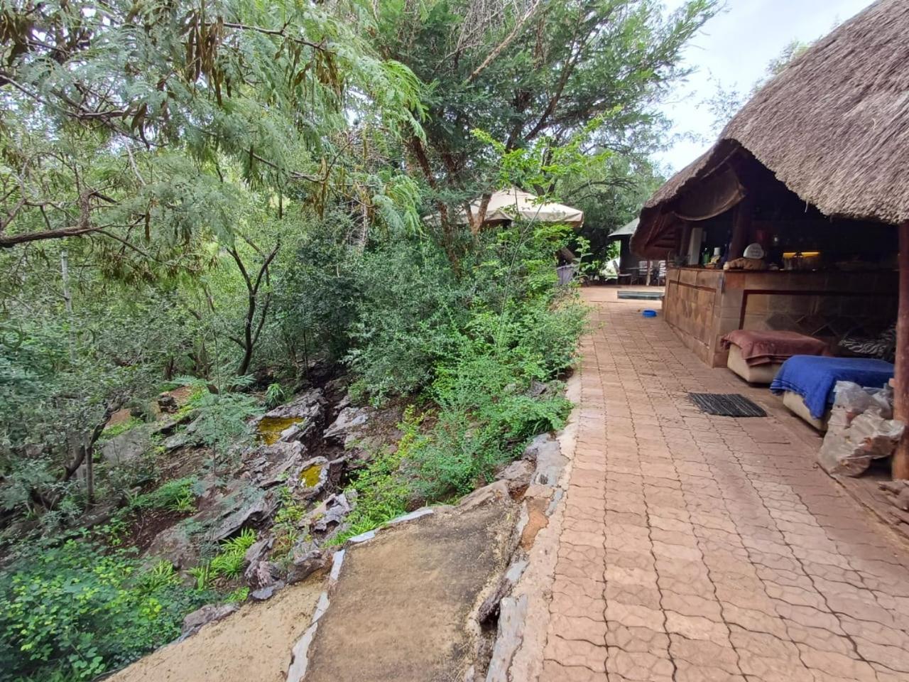 Adorable Unique Guest House - African Bush Feel Kalkheuvel Esterno foto